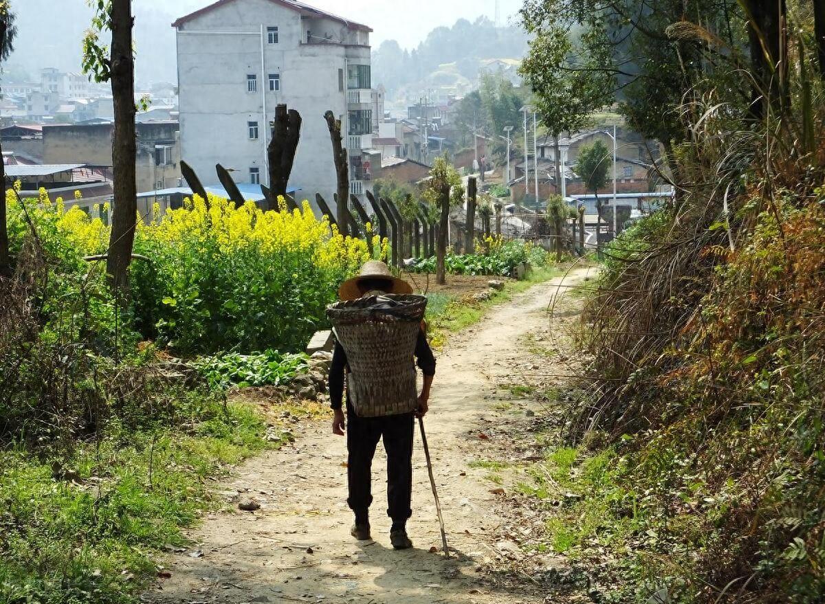 农村最后一批留守老人老去之后，农村是不是就空了？我直截了当说：是！这话听着可能扎