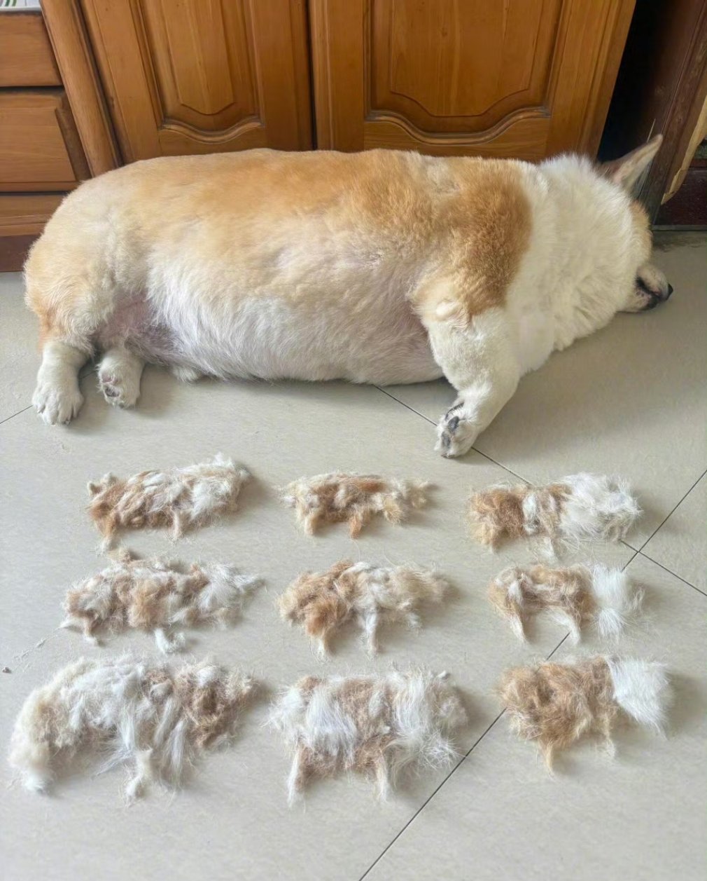 父子平安​​​