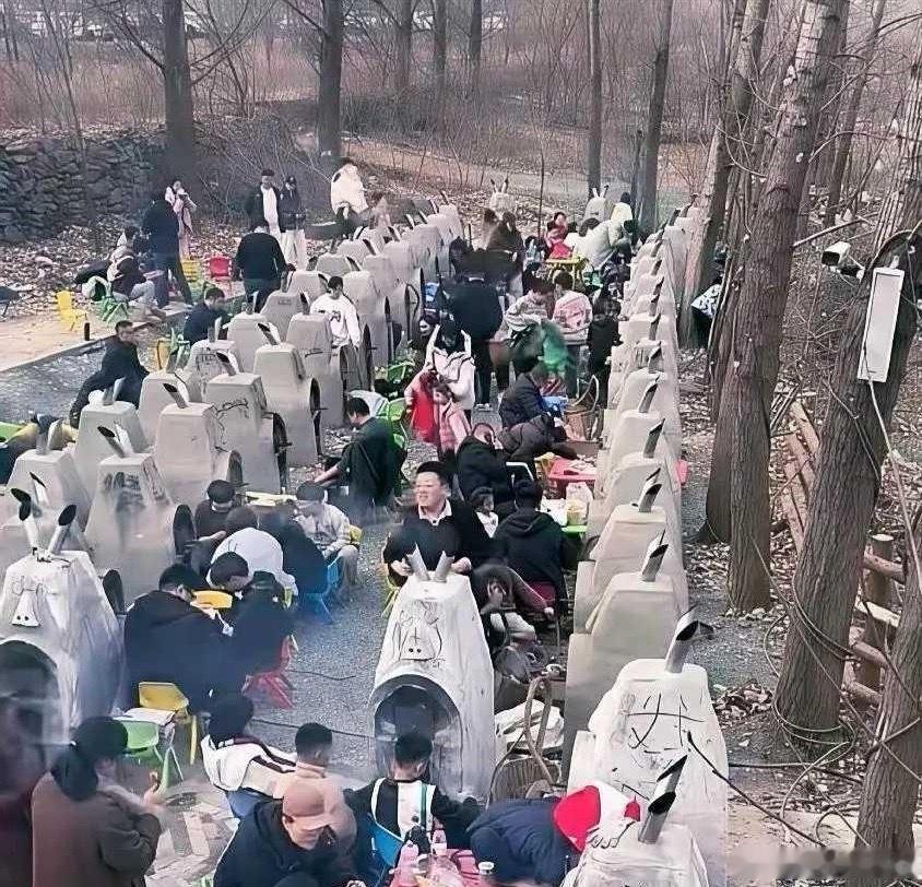 没人说我还以为是坟