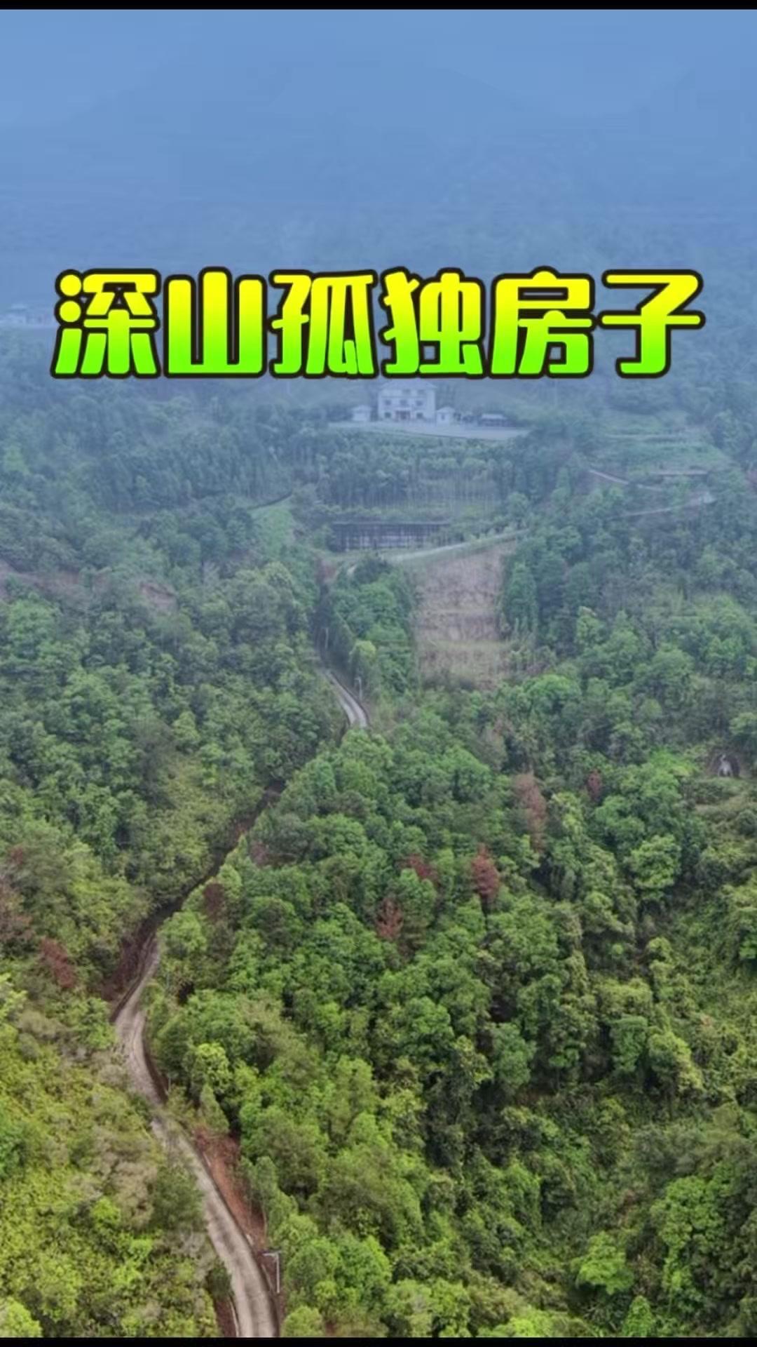 在广东深山里，住着一户人家，门前有河流蜿蜒，远处是连绵的高山，这里像极了人间净土
