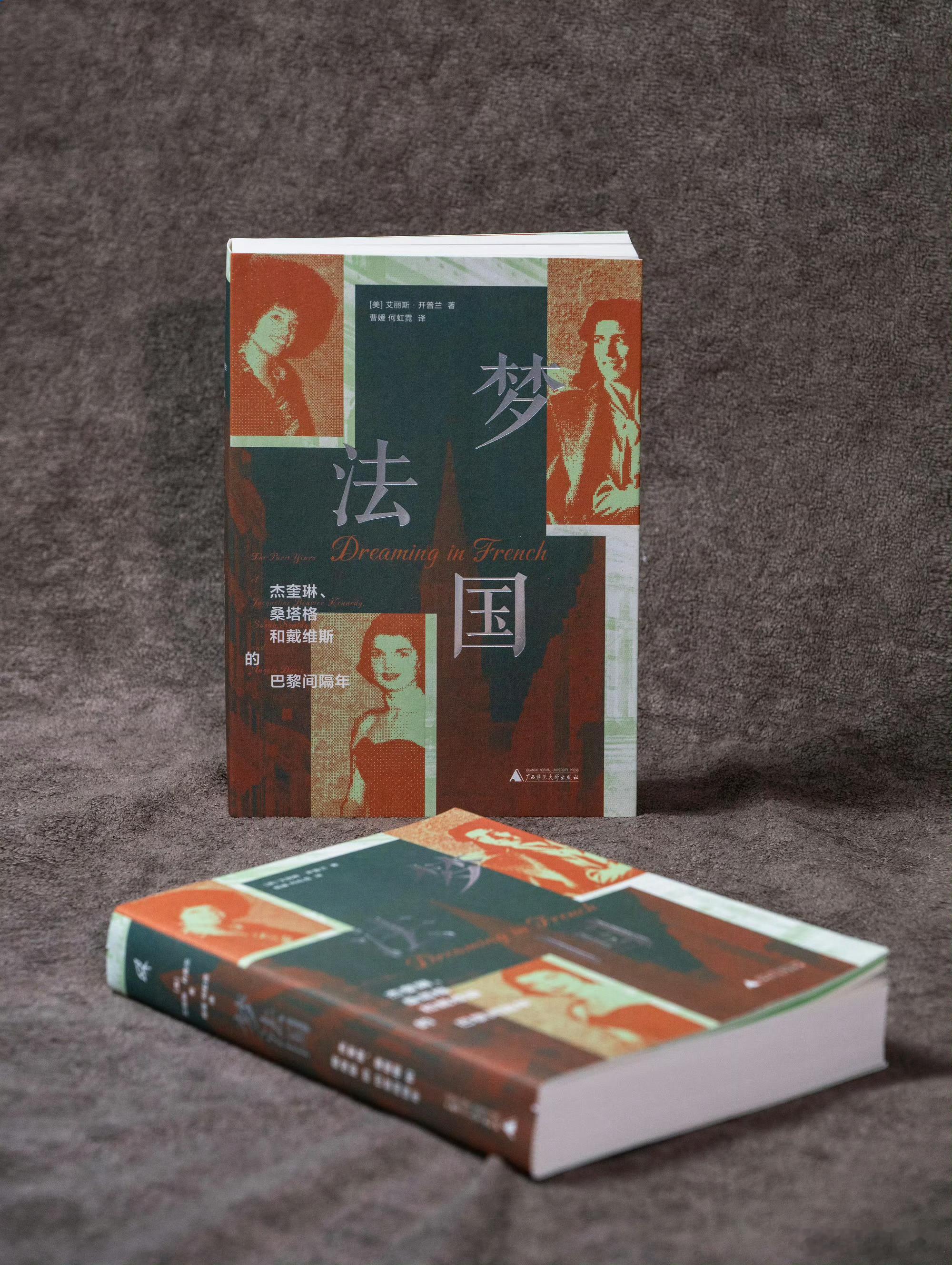 阅读是我的精神自留地这届微小说作者全是狠人书评《梦法国：杰奎琳、桑塔格和戴维斯