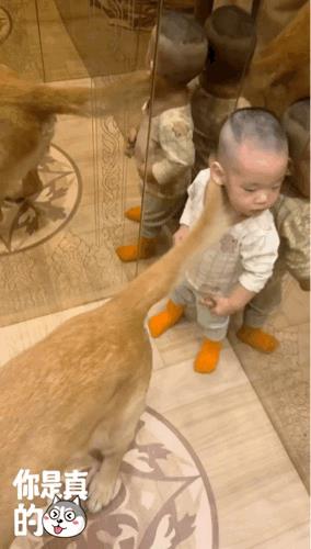 小孩：我妈还有三层楼到达战场，再忍忍[捂脸哭]