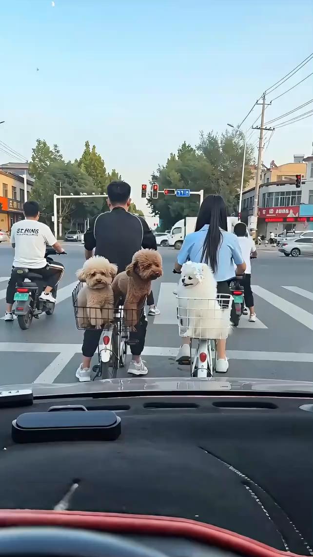 哈哈。