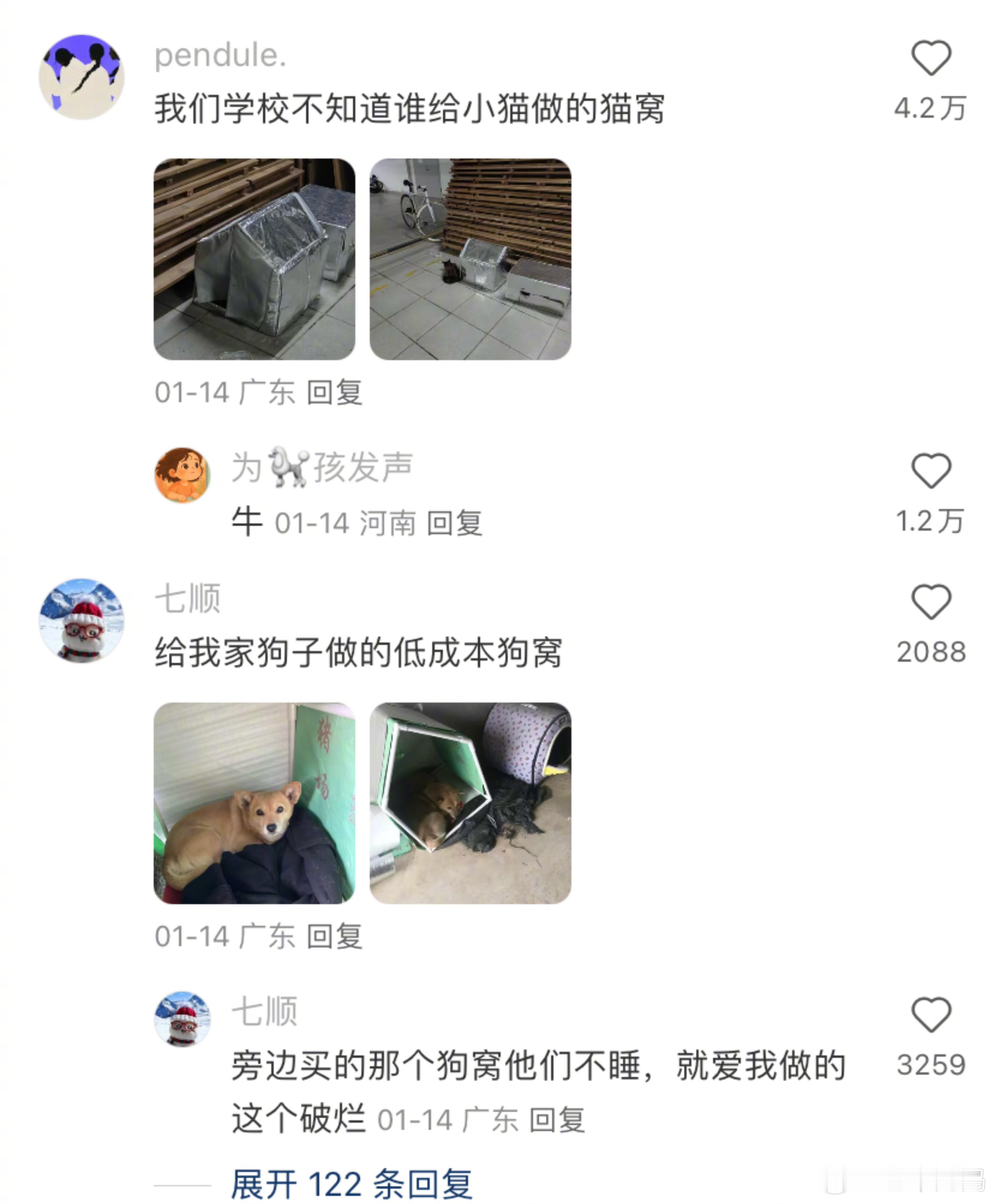 这届网友的脑回路真的是越来越抽象了
