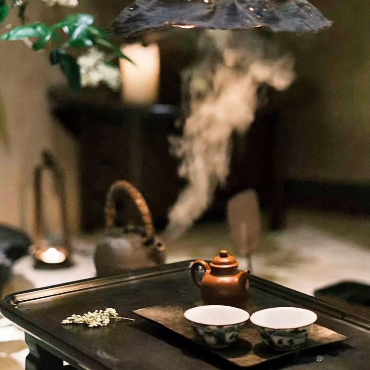 普洱茶为啥感觉古树更好喝?后来才明白喝茶，并不为高雅，亦非为了禅意。而是