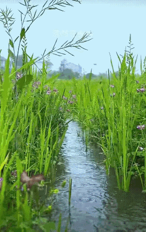 说实话，我想回到过去了。