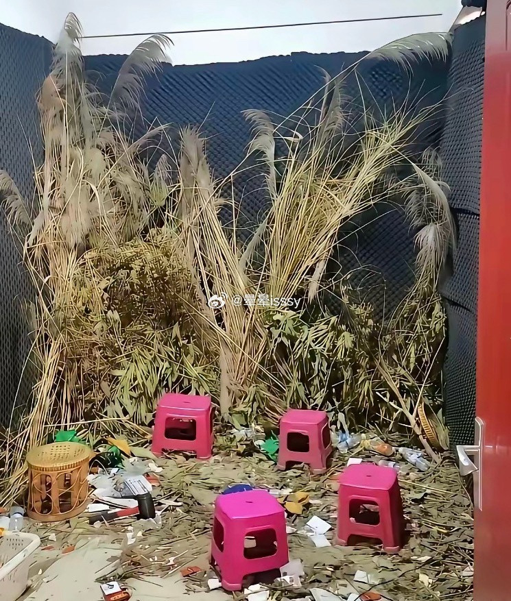原来直播布景是这样！