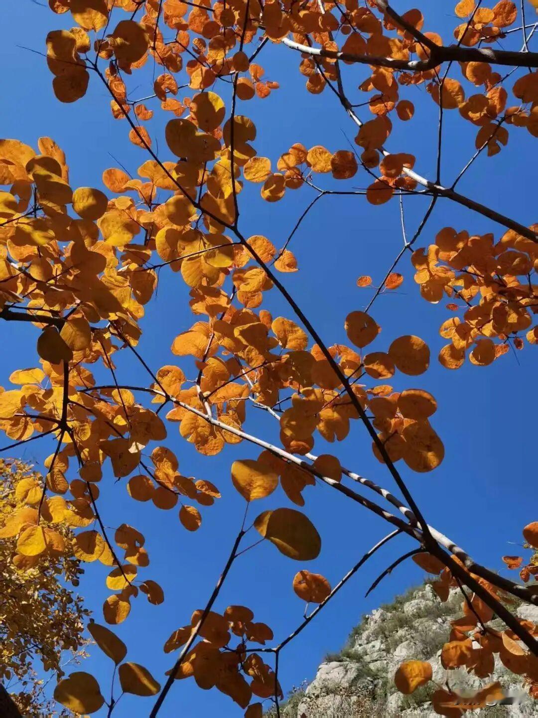 中老年人该不该锻炼，其实这个话题得看每个人的身体健康境况来定。中老年人的身