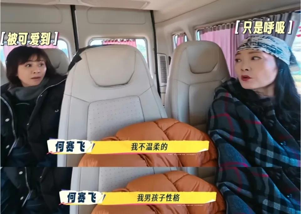 何赛飞有火当场就发！看了新一季的《一路繁花2》，真的被何赛飞圈粉了，以姐姐的