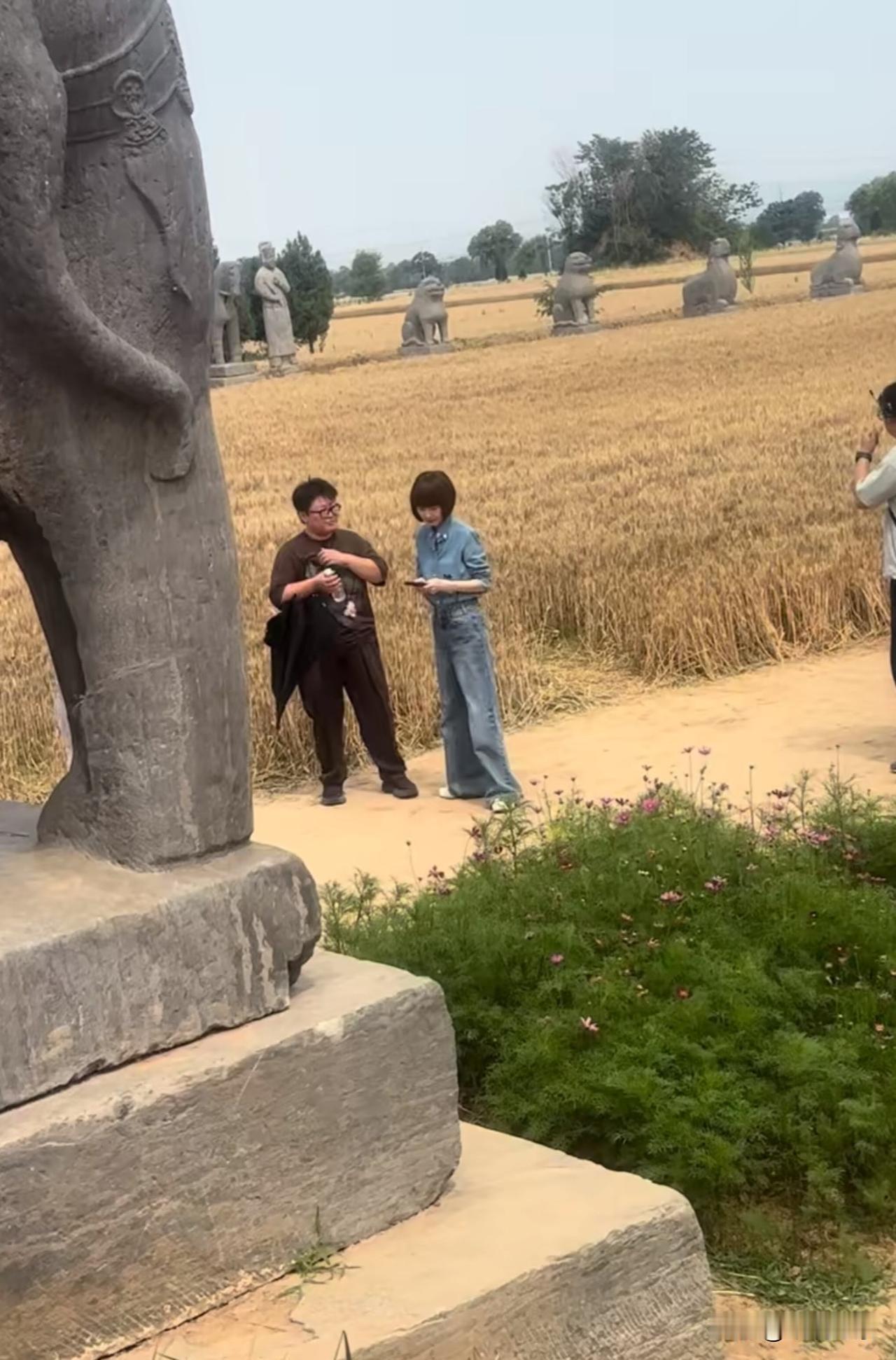 好像是遇到大明星了河南北宋皇陵