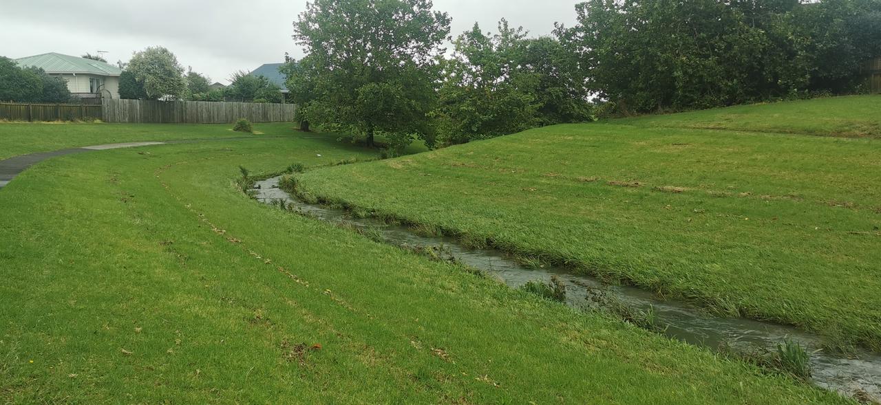 新西兰雨污分流做的很好。你看图片中的小溪流就是雨水归集在一起，溪流宗宗，清水荡漾
