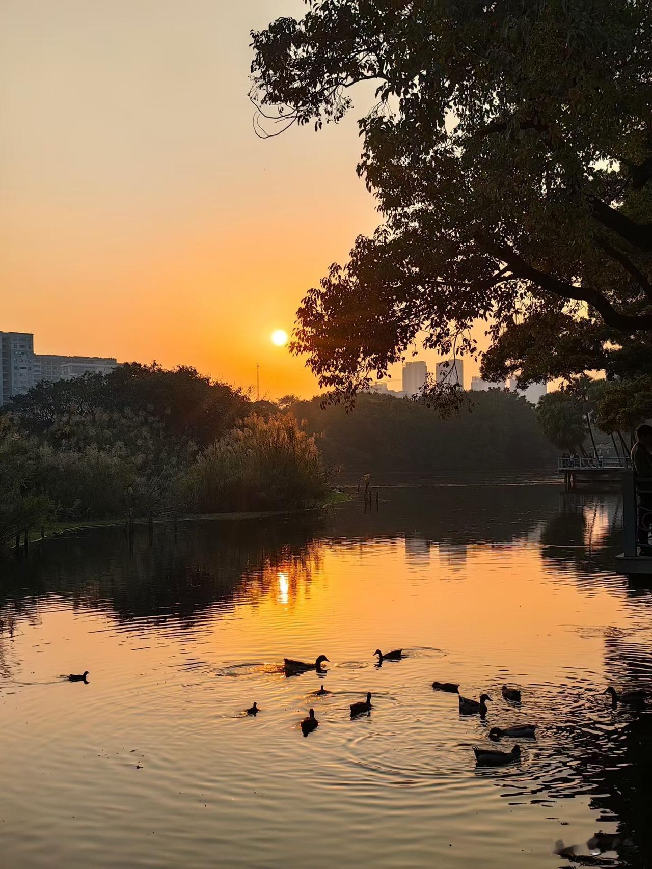 手上没有钱，却给了个首付，买了房子，现在还在还债中。婆婆给了6万，剩下的是贷