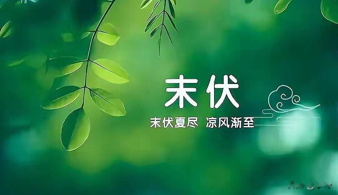 8月14日就要入末伏了，老话说"三伏不尽秋到来"，这最后10天的伏天，今年可是和