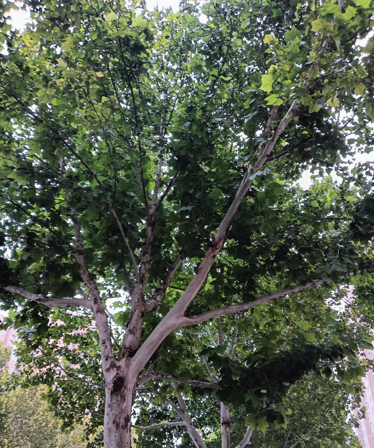 昨天晚上老公终于给我联系了，耗了好几天最终还是逃脱不掉赔偿[哭哭]老板达不到目的