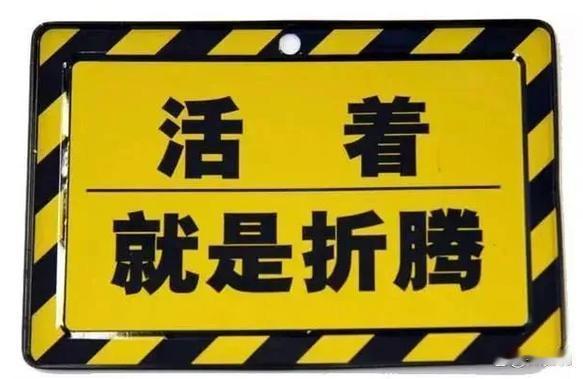 人活着的意义就是折腾！这话太通透了。人活着哪有什么终极标准答案，本质就是