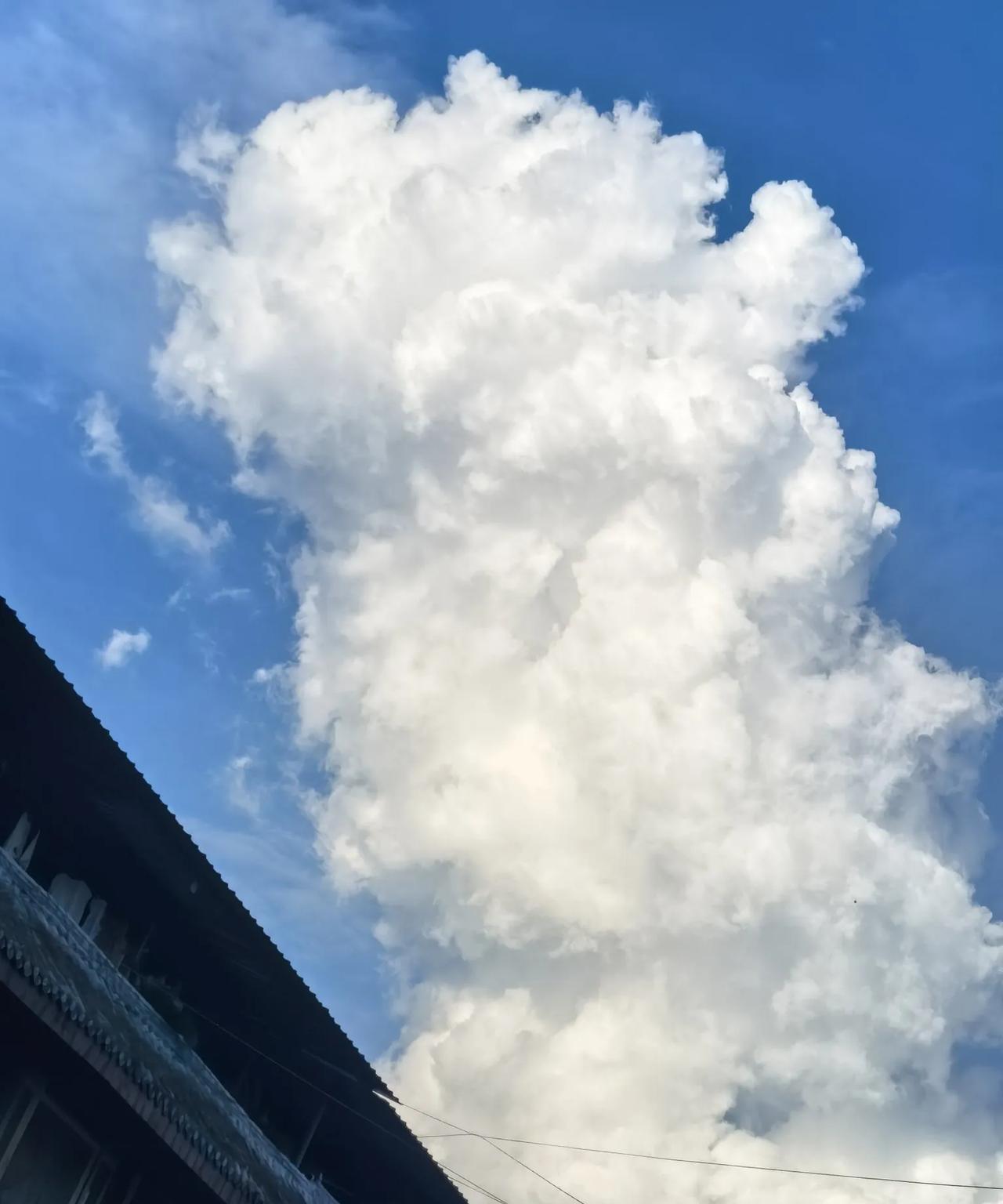 成都8月7日到8月17日，举行世界大运会！不晓得有多少成都市民，会离开成都，给