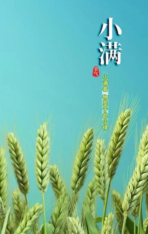 七律四首·小满文/半岛诗人一蔷薇架下影阑珊，半卷闲云卧碧湍。麦浪初齐风