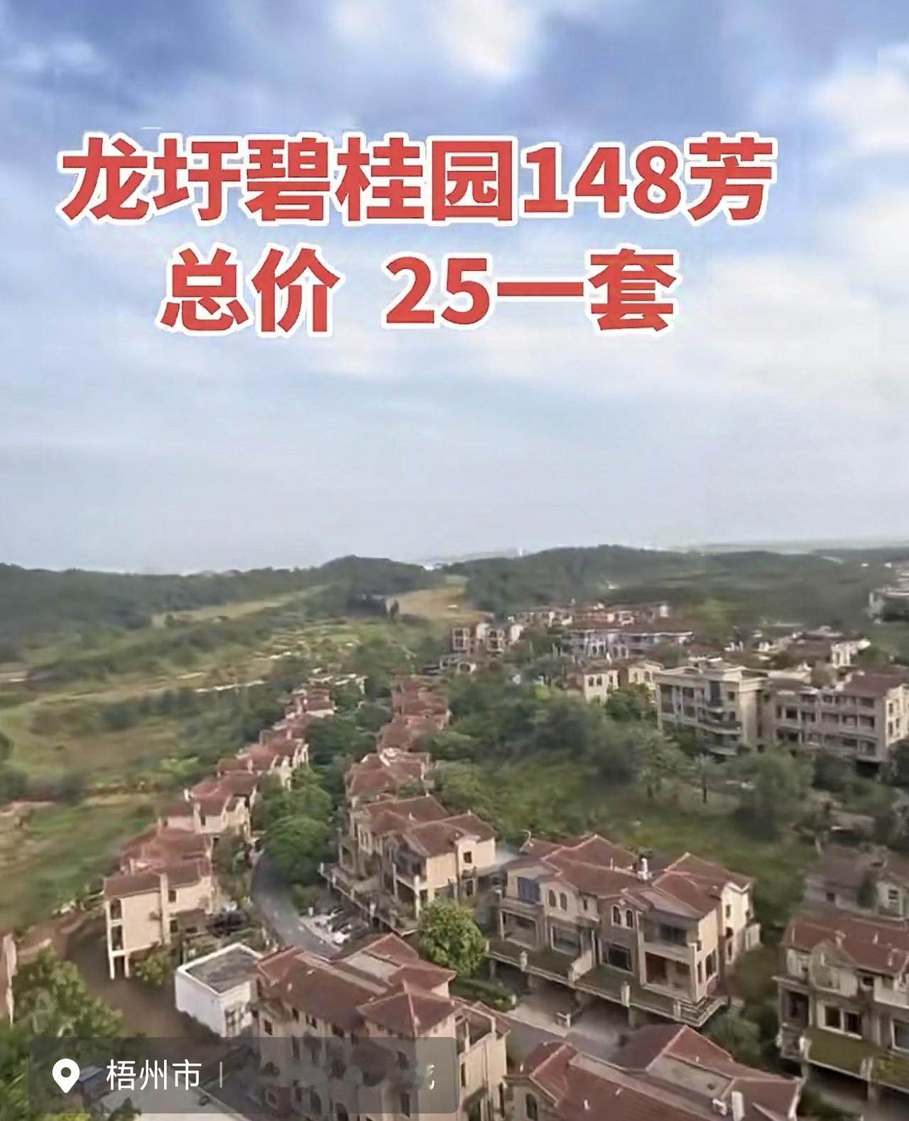 梧州某碧桂园楼盘，七八年前卖四五千一平米，现在二手房已经跌到了1700元一平米，