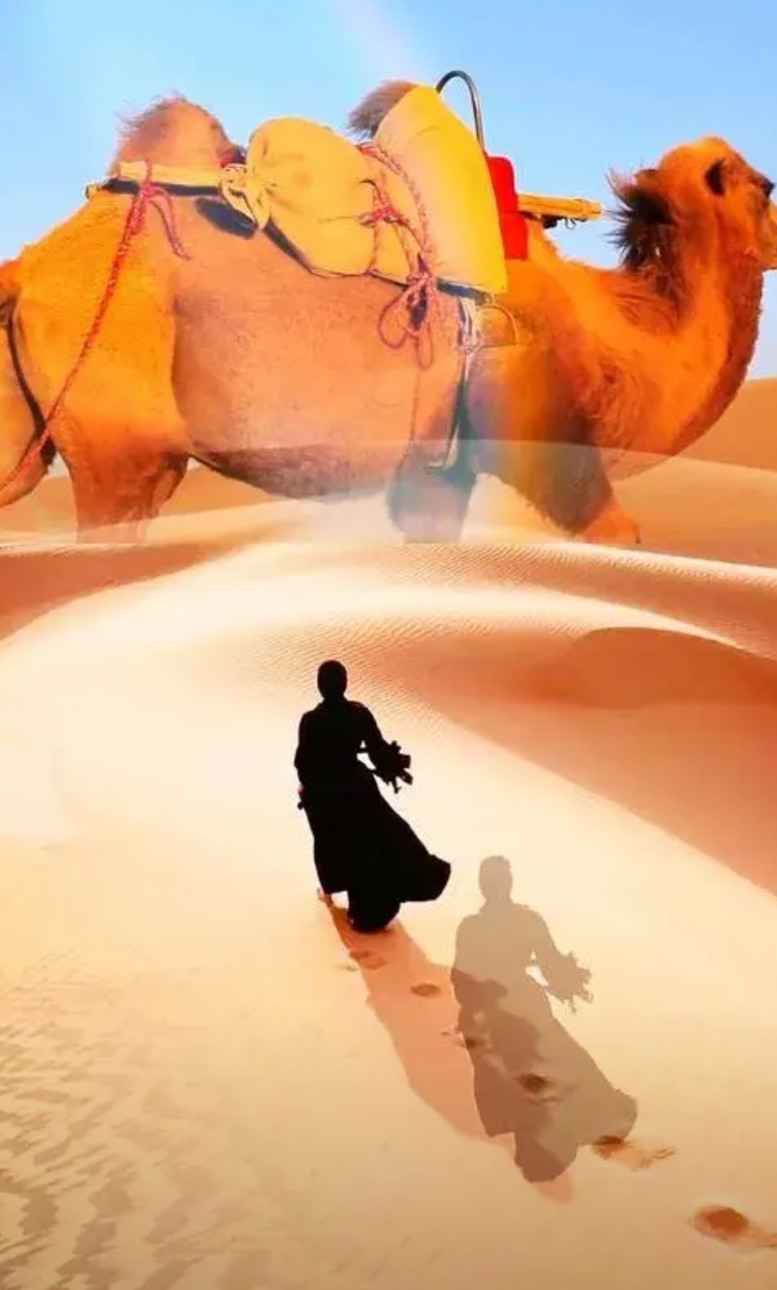 《我的楼兰》由苏柳作词、刀郎作曲，根据我国著作权法规定，著作权归作者所有，所以苏