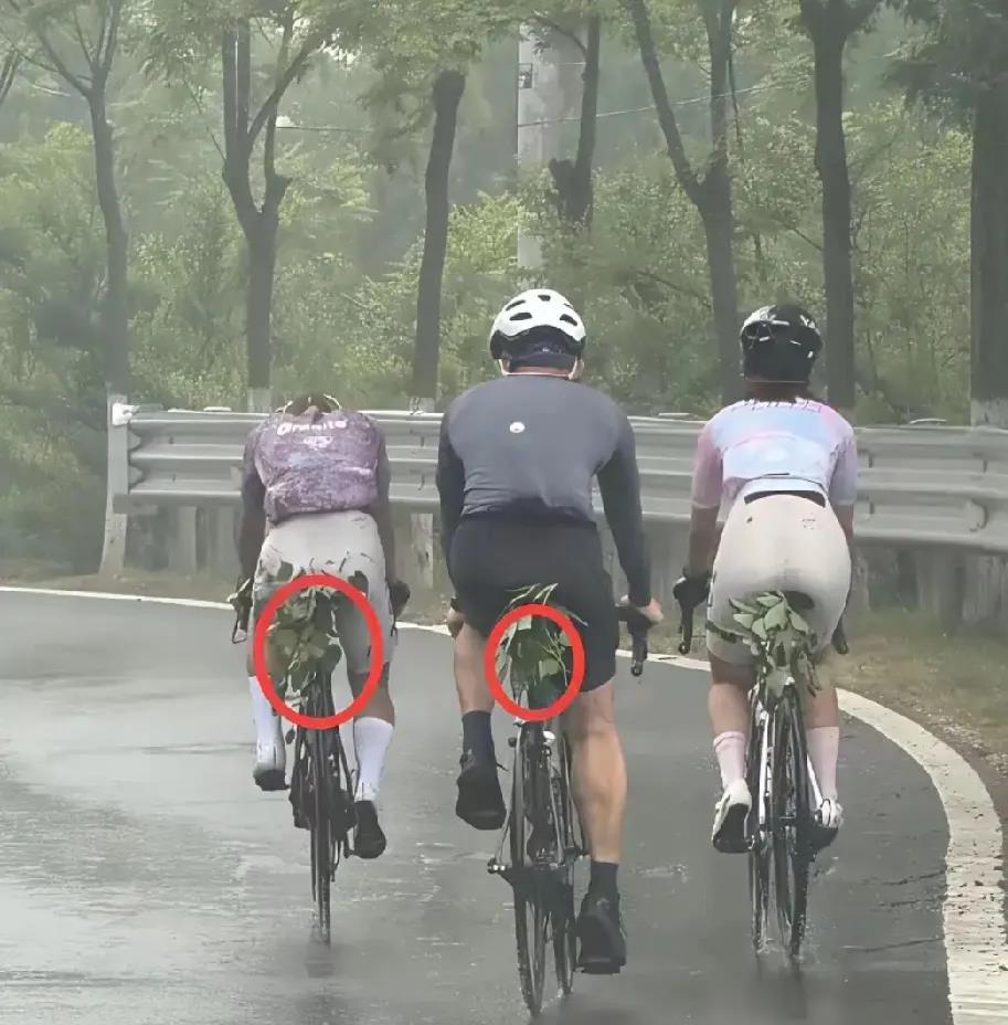 这是什么操作？