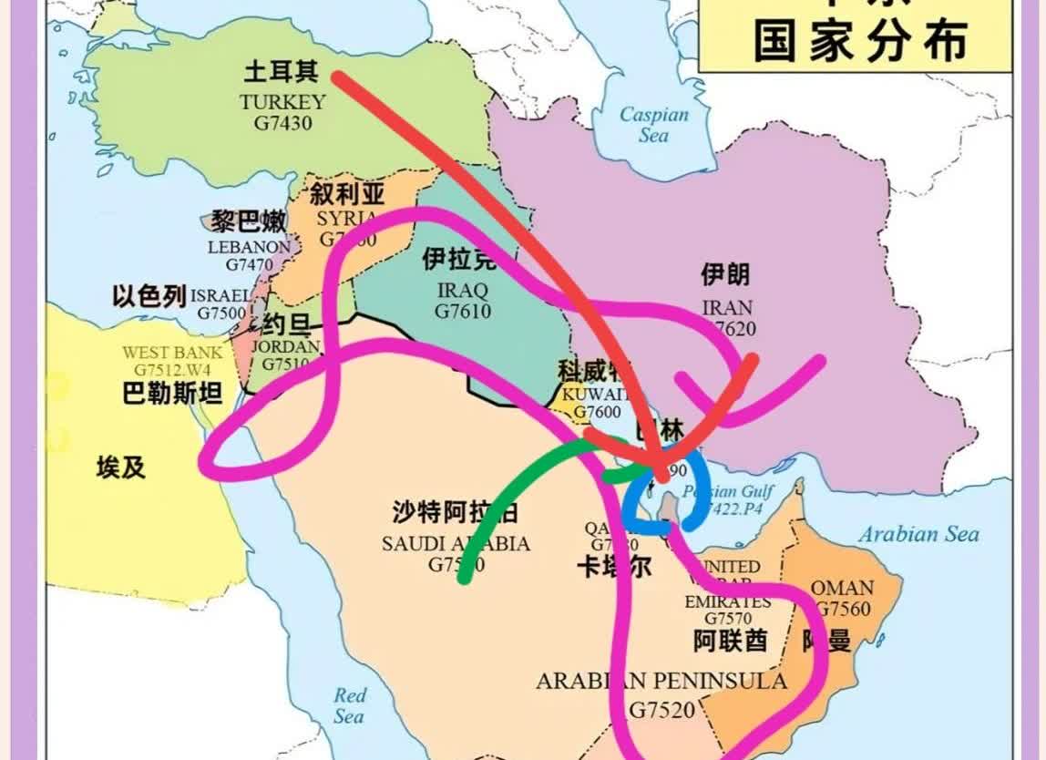 美国跟以色列都慌了，由卡塔尔发起的中东峰会把整个中东国家都串起来对付以色列了。