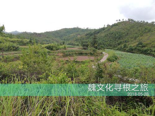 台湾演员利晴天本名林典璋，手持祖传族谱公开寻根，称家族清朝从潮州澄海渡台，自己是