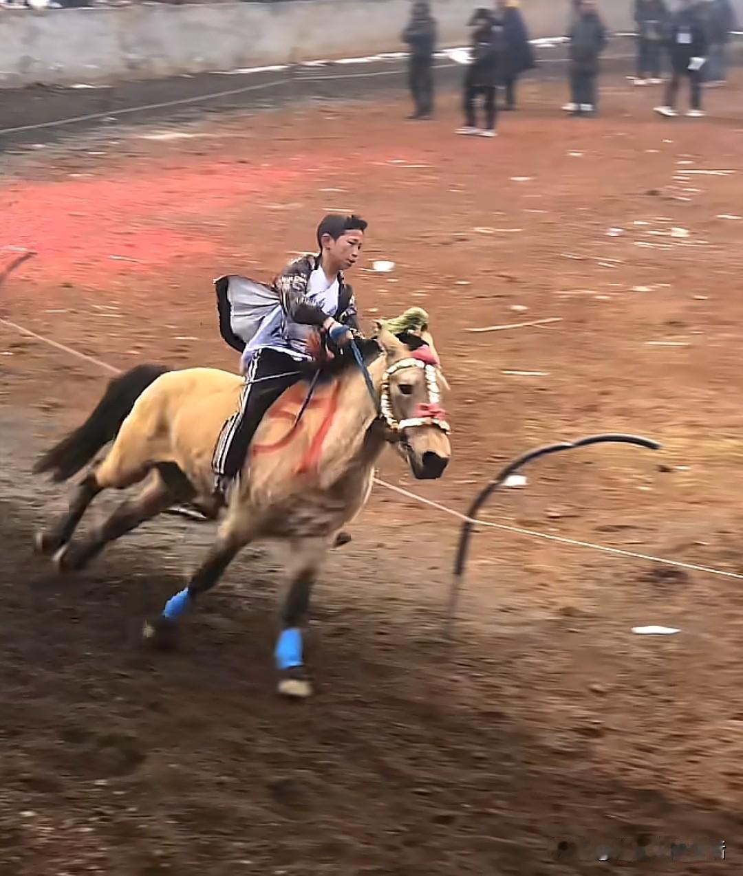 勇敢的孩子，一直在爸爸身边找时机；有的孩子却一直在爸爸身上找手机！我觉得无论