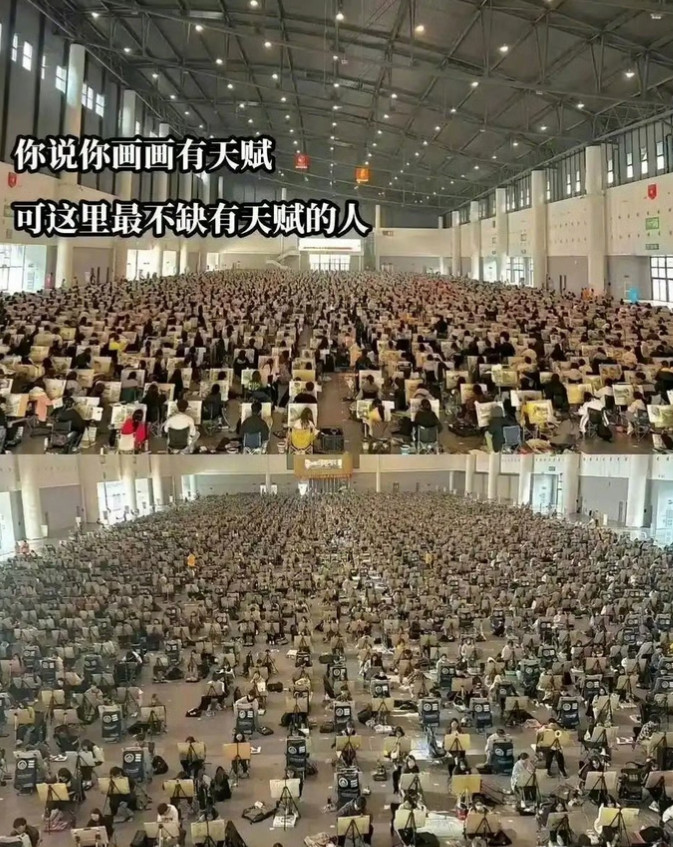 网友问：这些人最后的就业方向是什么？