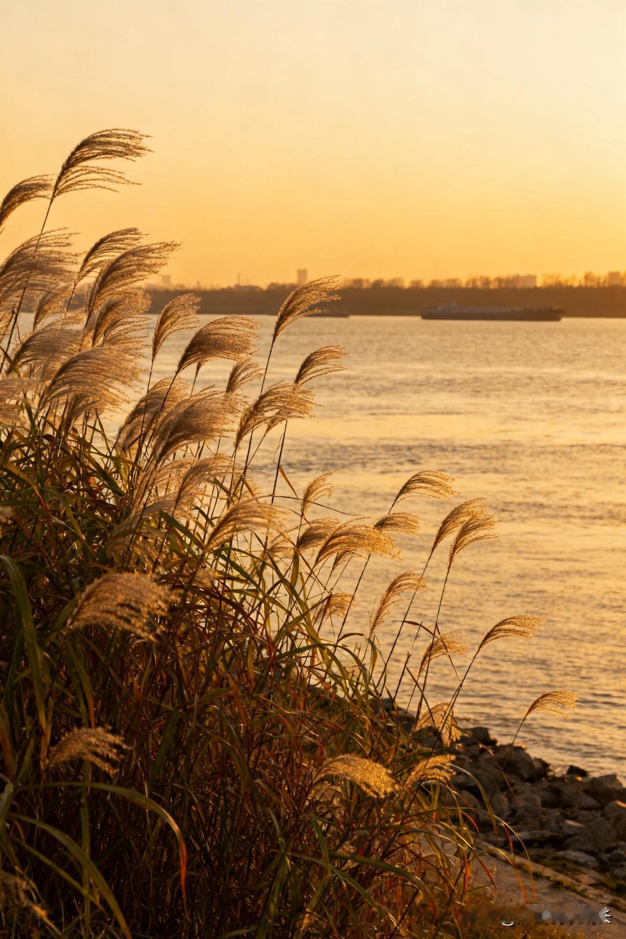人到中年才懂：这7件事，越做越“蠢”上周同学聚会，见到老陈时我愣了愣。
