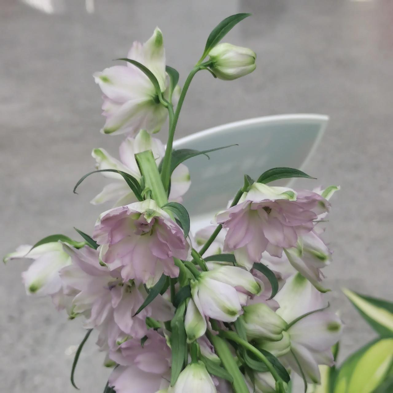 我的宝藏兴趣
