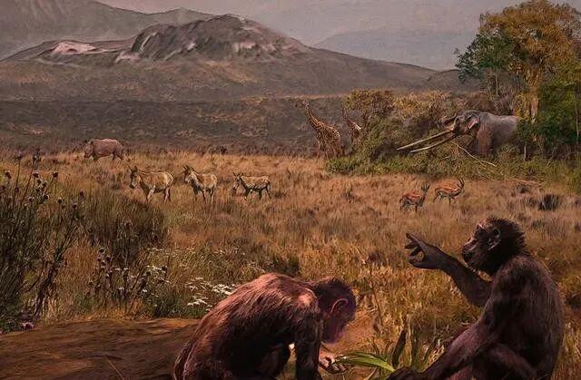 人类为何只吃食草动物的肉，很少去吃食肉性动物？是不好吃吗？逛菜市场时不难发现