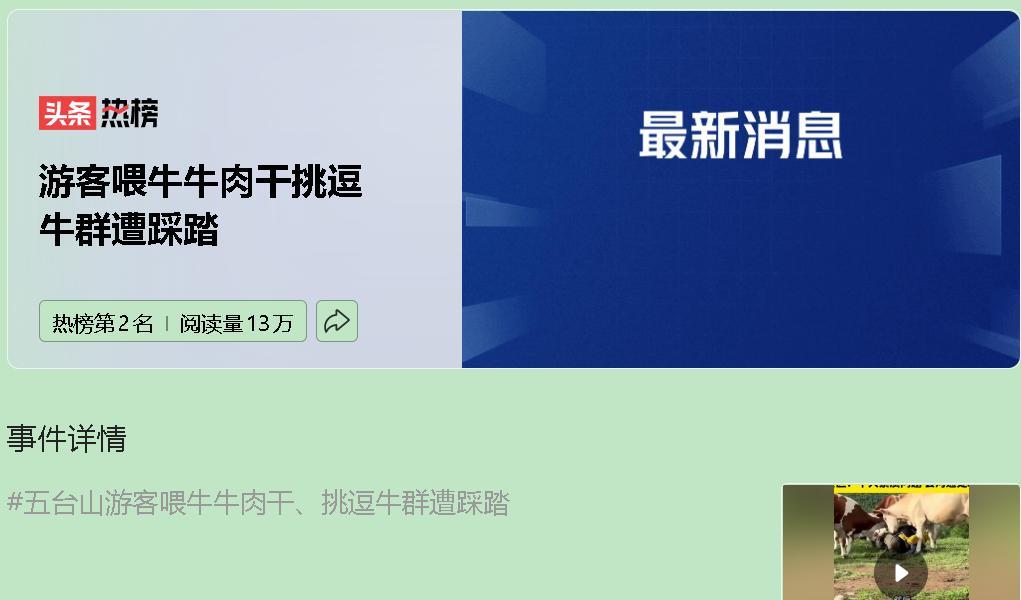 五台山这波游客操作，简直迷得离谱！喂牛吃牛肉干，用登山杖戳牛屁股，这哪是逗牛玩，