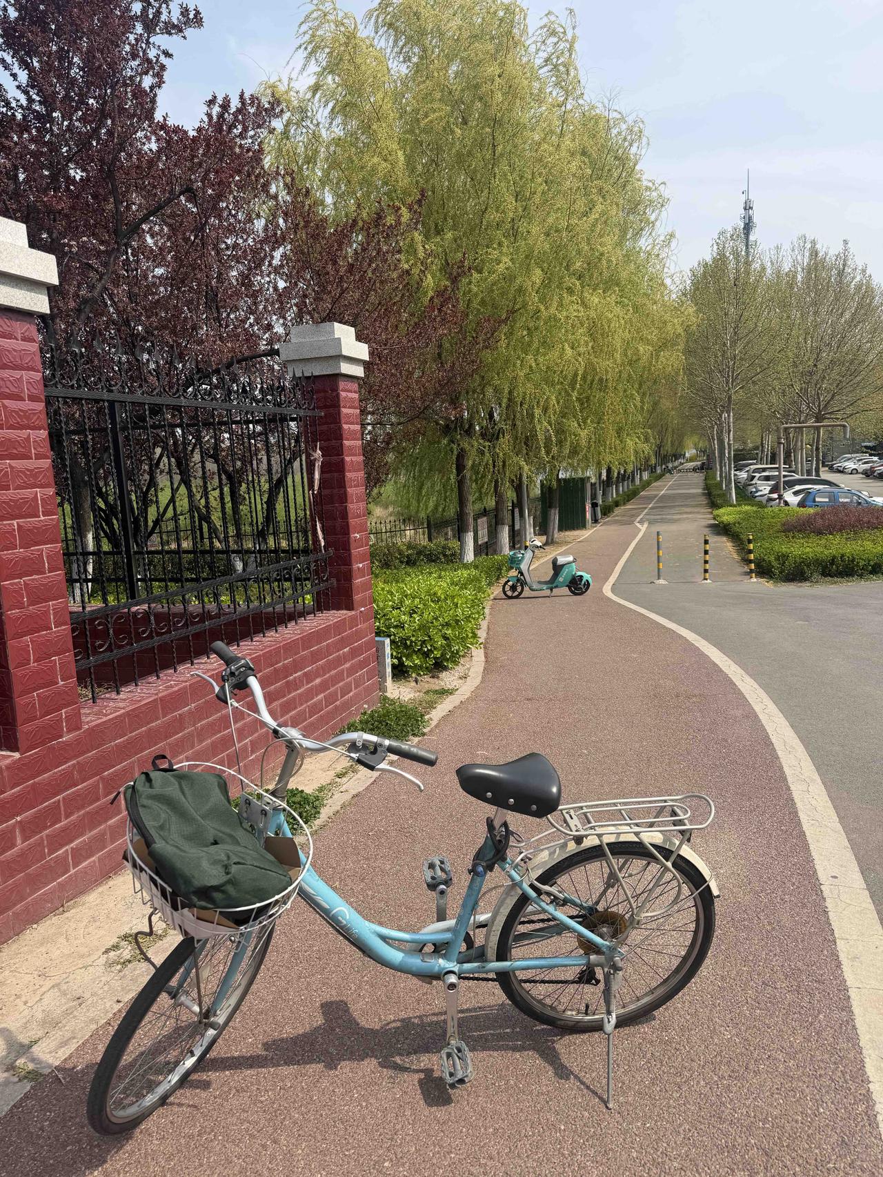 面对这样的体检结果：总胆固醇7:39，低密度脂蛋白胆固醇4.88，搞得我昨夜辗转