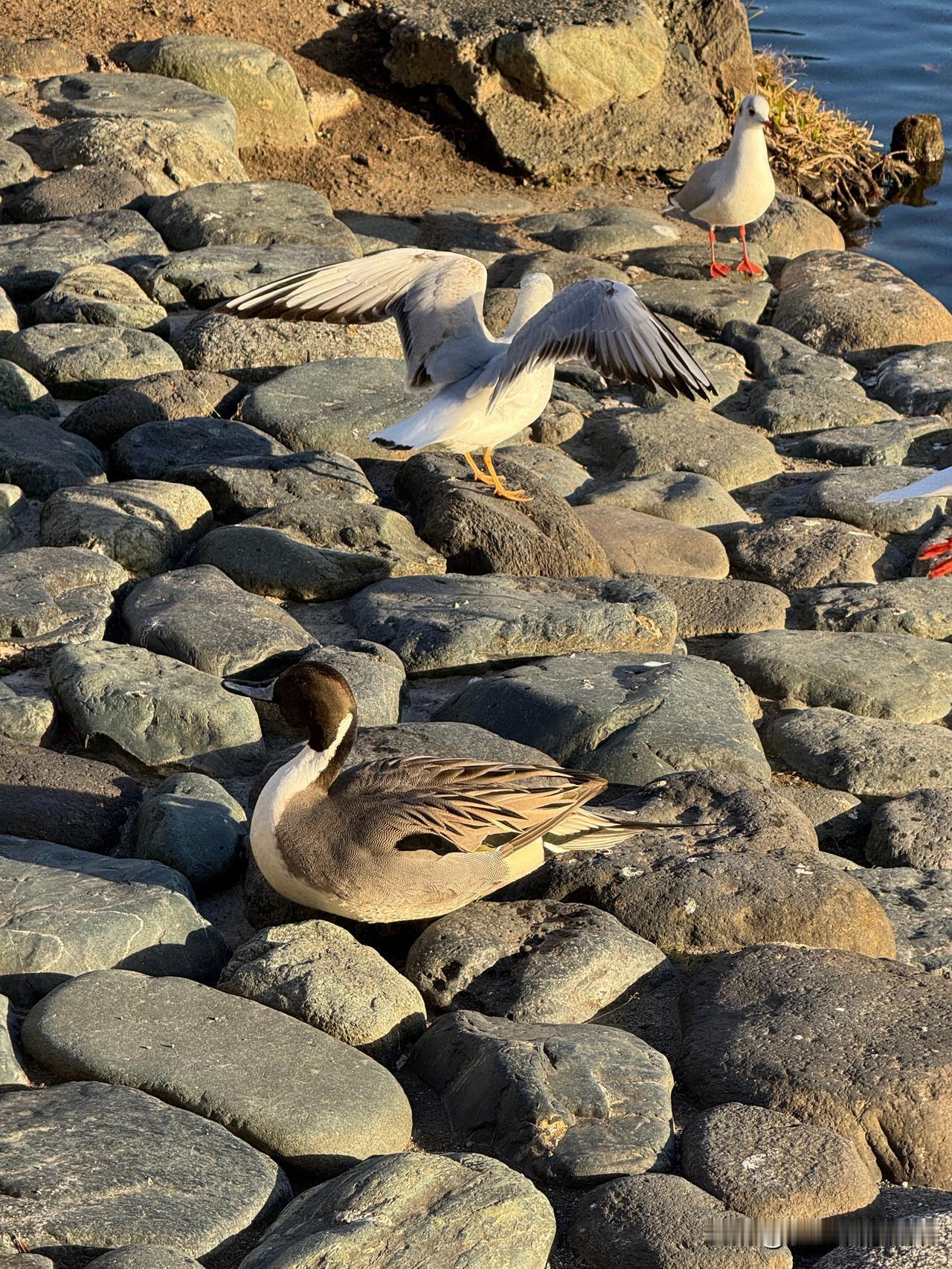 父母那一代，结婚是同甘共苦，我们这一代，结婚是只同甘不共苦！父母那一代，夫妻