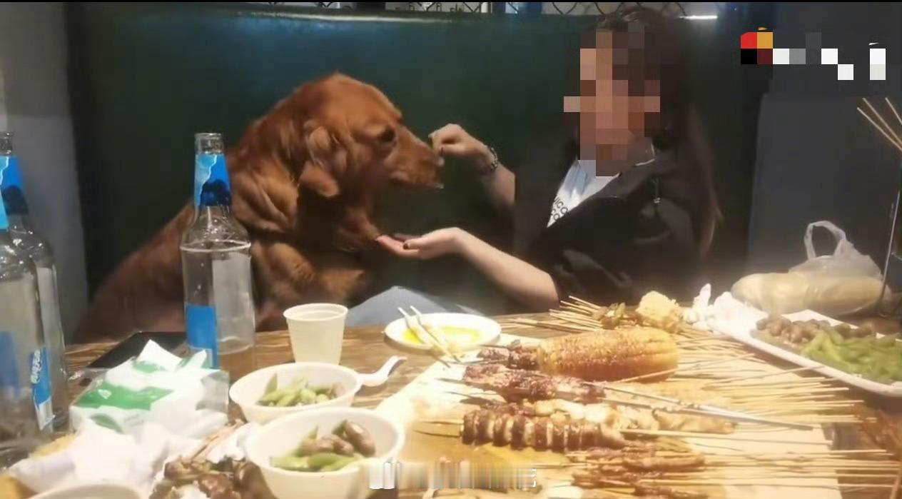 市监局介入女子用烧烤签喂狗事件现在有些铲屎官已到了严重失态状态，三观扭曲、人畜不