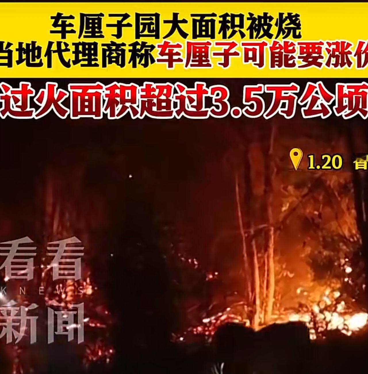 好家伙，刚便宜没两天的车厘子，这下悬了。智利那边一场大火，直接把咱们的“车厘