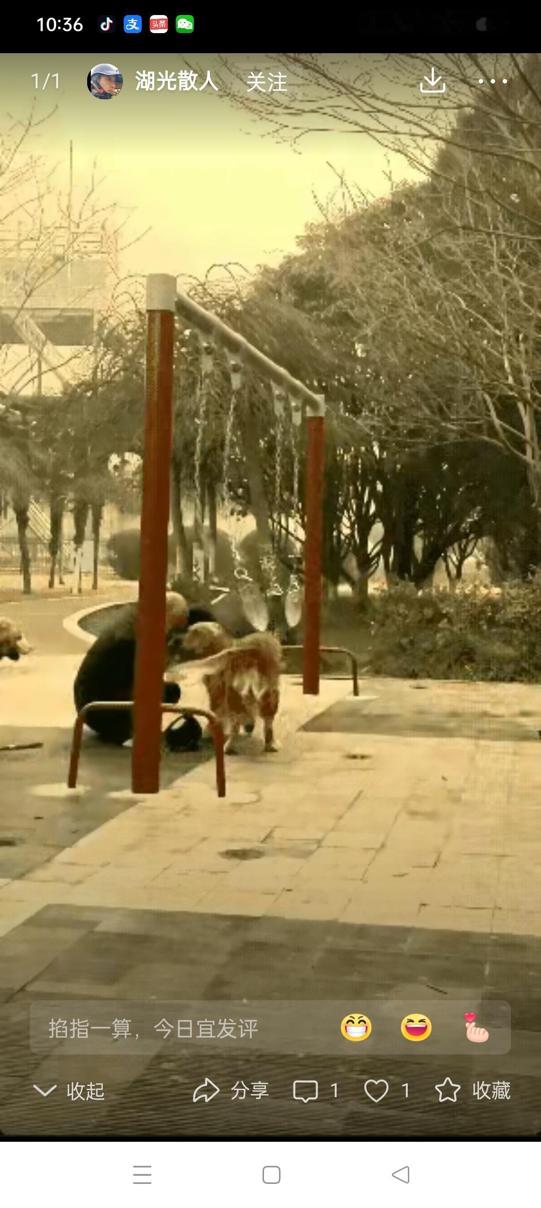 大爷荡秋千也要带着狗儿子玩，光顾着和狗儿子亲密，一不留神松开了拉着秋千绳的手，失