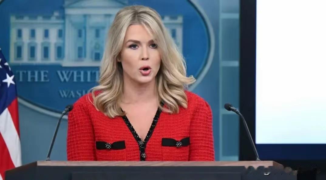 特朗普找到了终止为乌克兰提供援助的理由！12月2日俄罗斯卫星通讯社报道，白宫