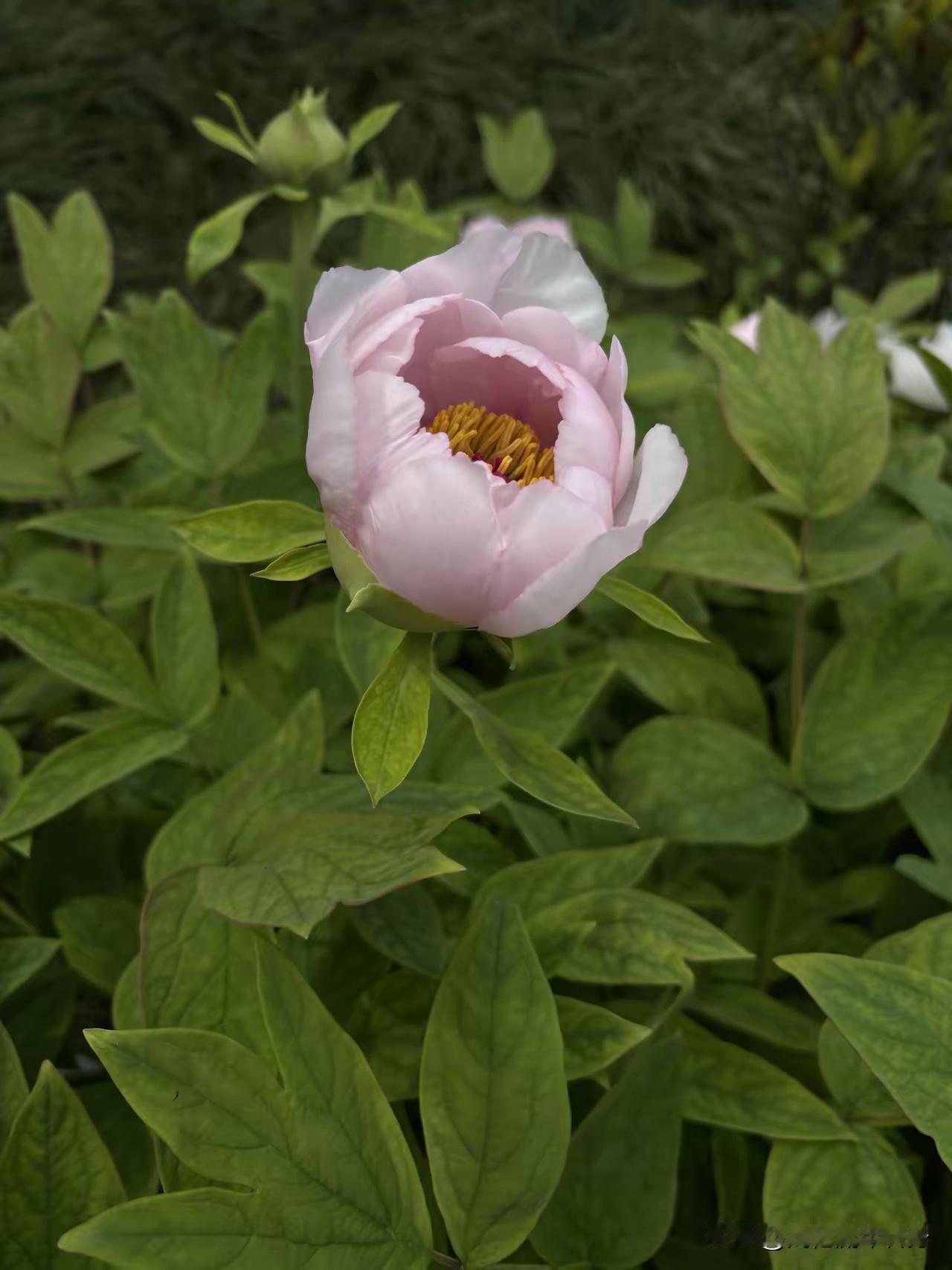 54岁丈夫节俭到让我难堪，懂缘由后我满是心酸我老公真是太丢人了，有些话说出