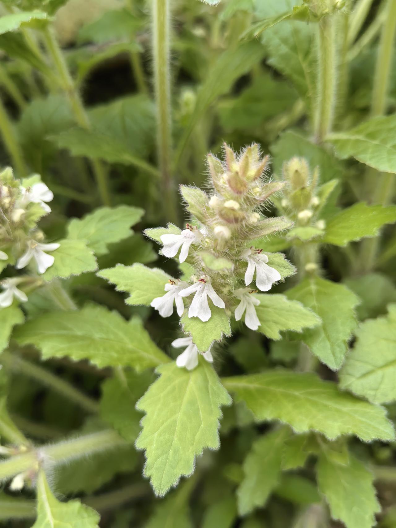 怎么样的男人是好男人？现在很多女孩子说不想结婚，那老了怎么办？没有孩子会很惨