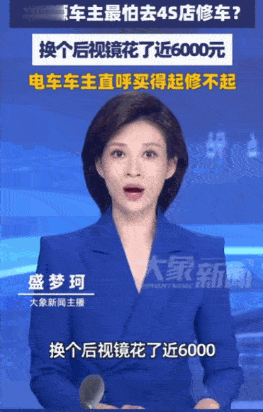 太心酸了！广东广州，一电车车主倒车时后视镜轻轻一碰，本以为去4S店换个外壳顶多几