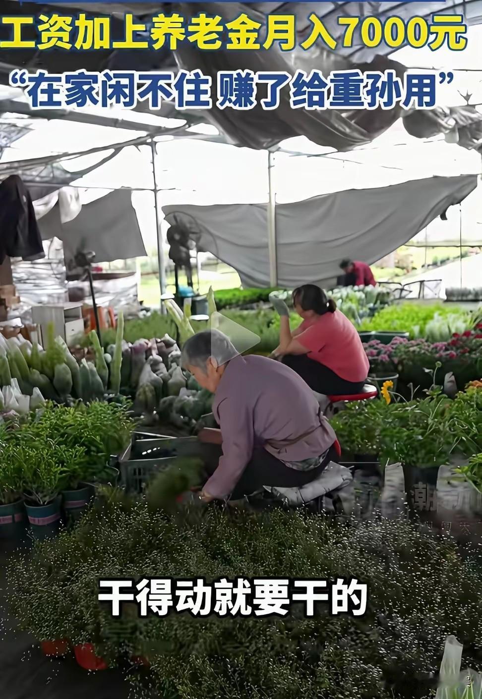 看人家浙江的老人，七八十岁了，甚至有的都90多了还在赚钱，一点闲不着。他们有的并
