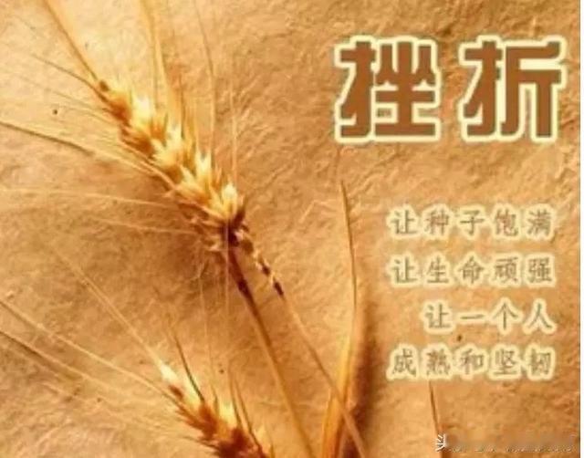 嘿，朋友们！今天我们要聊的这个话题，可不是普通的“聊聊”，而是关乎你我他人生大事