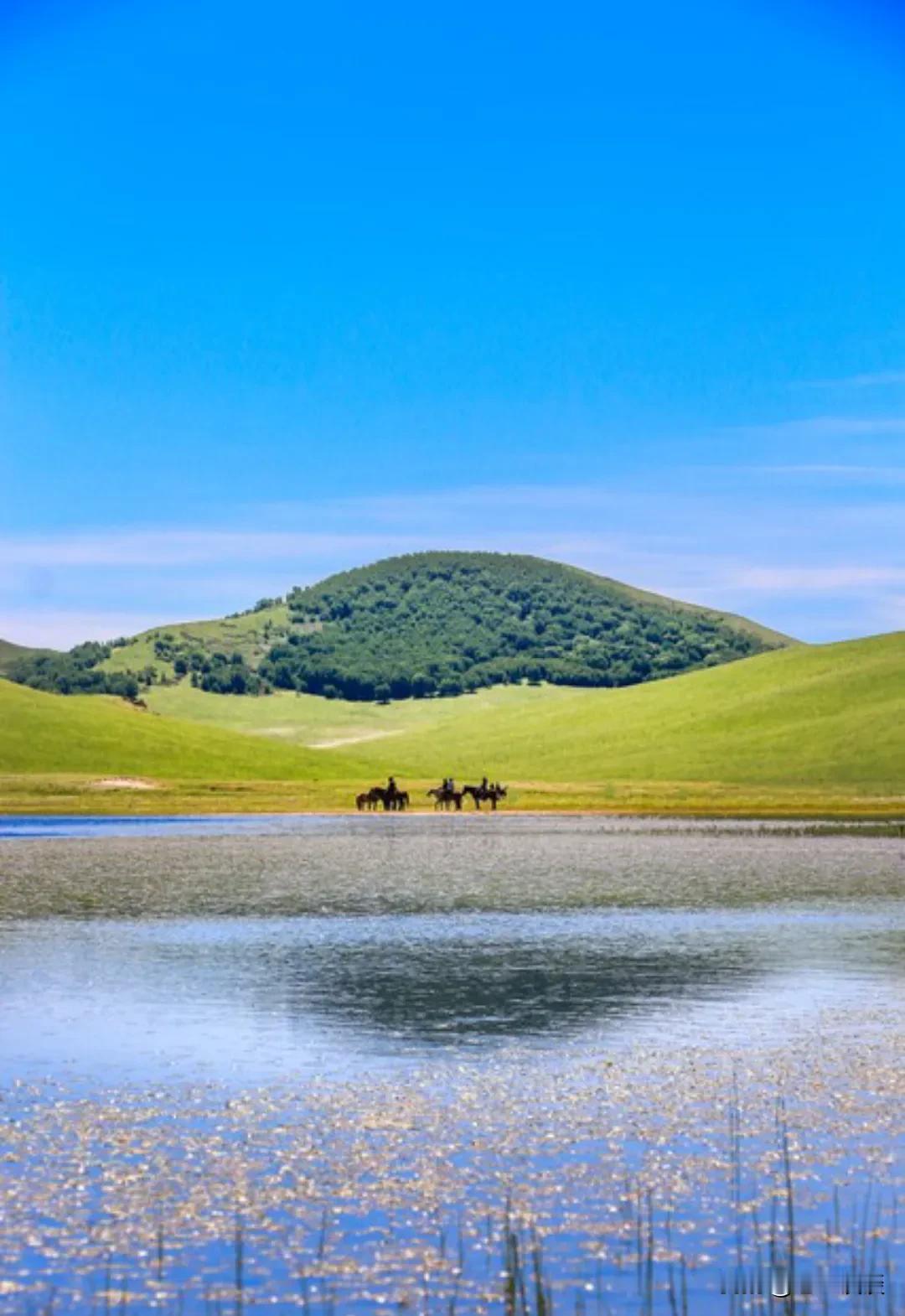 人间清醒的一句话：“人到中年，还要爱得死去活来，就是缺心眼。”年轻时，我们总