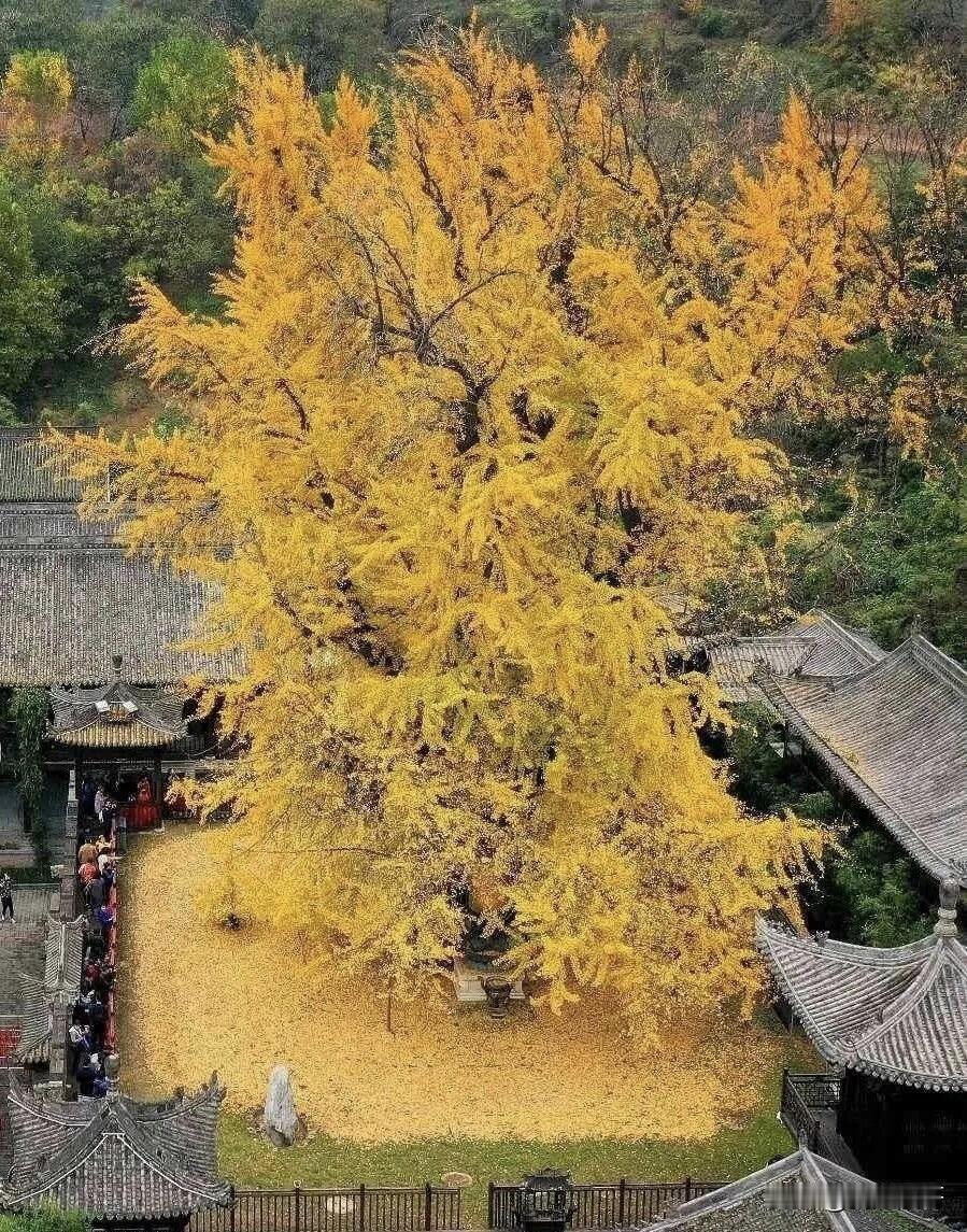 物随心转，境由心造。在人生中体悟，在成长中磨炼，才能洞见真谛，得到幸福。逢人