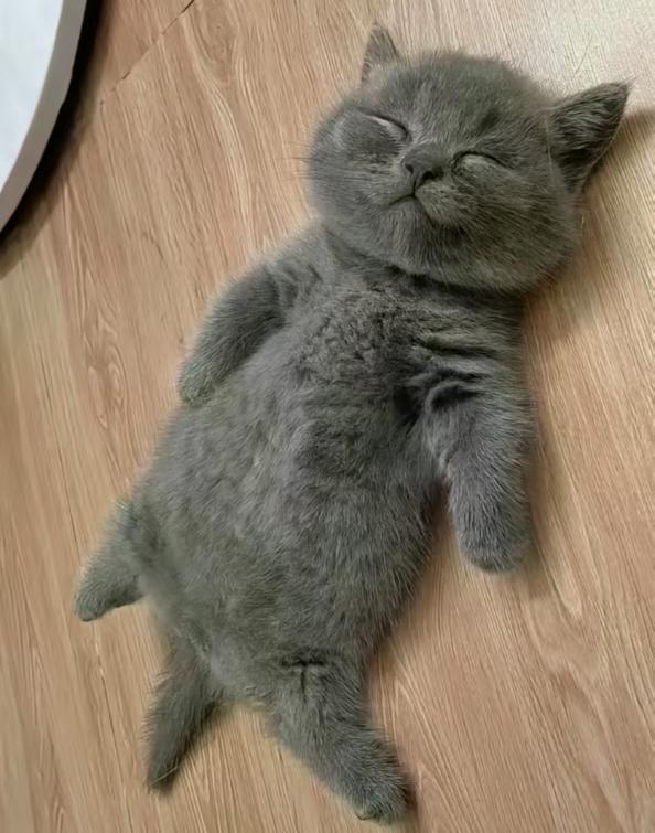 暖气的首批受益者出现了，尤其是地暖，