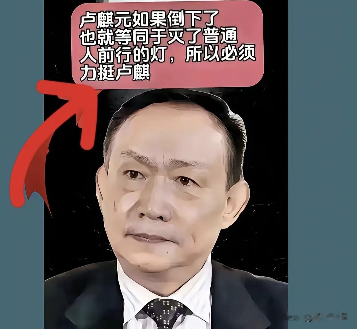 看到卢麒元这些言论，感到十分吃惊！委国靖康耻，耻于殖与阀。政法军警界“精英”，全