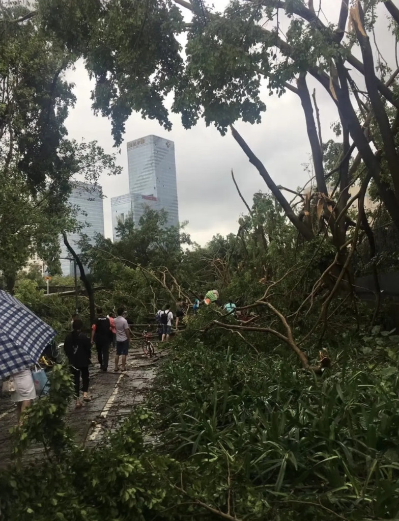 回顾2018年台风山竹过后深圳人上班神图深圳人是不可能不上班的。当年的山竹是我