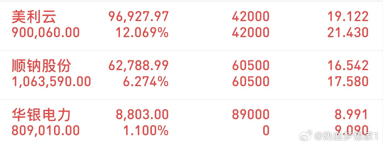 挑战300万冲刺3000万（3/25记录）新进：华银电力持有：顺钠股份持有：美利