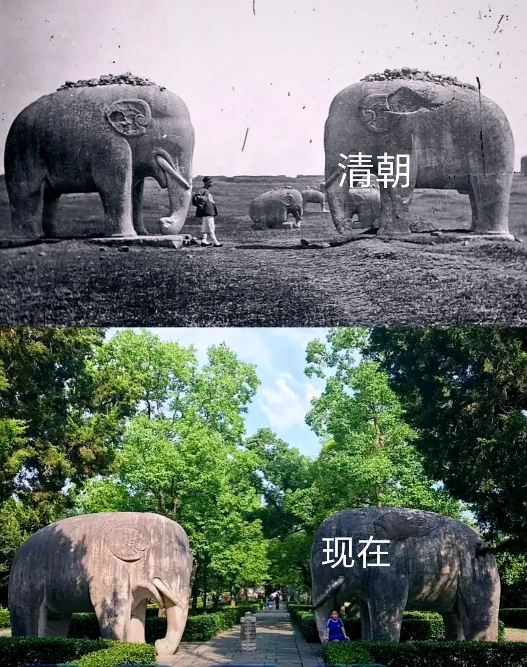 一直以为古代到处都是山清水秀，绿树成荫。其实真实的古代到处山都是光秃秃的，一点生